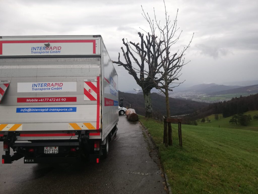 Rückansicht Mitsubishi Fuso Canter.